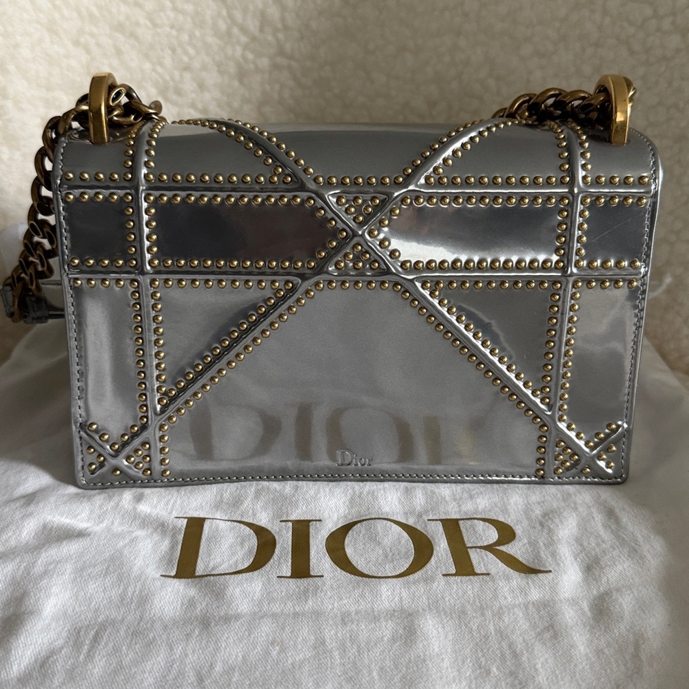 Diorama Calfskin Bag - Picture 4 of 12